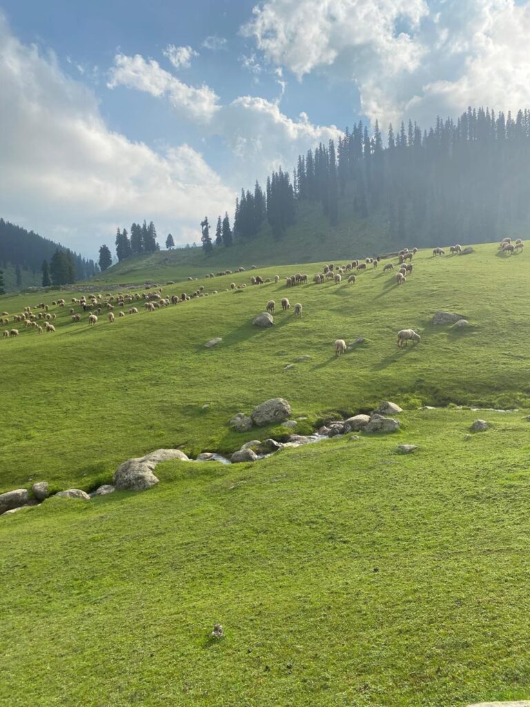 bangus valley offbeat places in kashmir